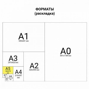 Бумага офисная STAFF "Profit", МАЛОГО ФОРМАТА А5 (148х210 мм), 80 г/м2, 500 л., марка С, белизна 149%, 110446