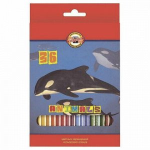 Карандаши цветные 36 ЦВЕТОВ KOH-I-NOOR "Animals", заточенные, 3555/36, 3555036008KSRV