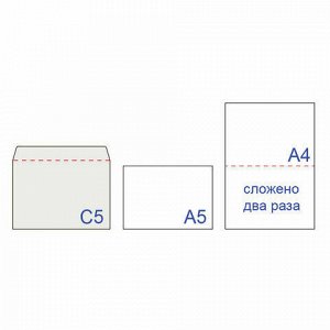 Конверты С5 (162х229 мм), отрывная лента, внутренняя запечатка, 80 г/м2, КОМПЛЕКТ 100 шт., BRAUBERG, 112187, C50.10.100С (11