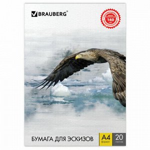 Папка для рисования А4, 20 л., 160 г/м2, BRAUBERG, 210х297 мм, "Орел", 125230