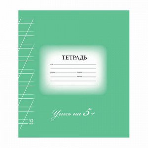 Тетрадь 12 л. BRAUBERG ЭКО "5-КА", косая линия, обложка плотная мелованная бумага, ЗЕЛЕНАЯ, 104762