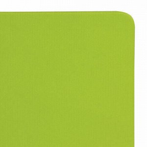 Блокнот в клетку с резинкой А5 (148x218 мм), 80 л., под кожу светло-зеленый BRAUBERG "Metropolis X", 111033