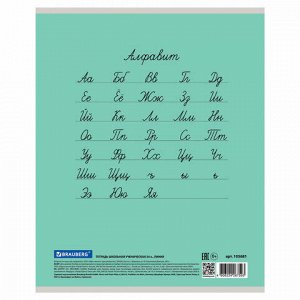 Тетрадь 24 л. BRAUBERG "ЭКО" линия, обложка плотная мелованная бумага, ЗЕЛЕНАЯ ПАСТЕЛЬНАЯ, 105681