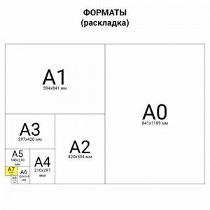 Блокнот МАЛЫЙ ФОРМАТ (64х82 мм) А7, 40 л., склейка, пластиковая 3D обложка, без линовки, BRAUBERG, "Живопись", ассорти, 128088