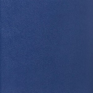 Ежедневник недатированный МАЛЫЙ ФОРМАТ А6 (100х150 мм) BRAUBERG "Select", балакрон, 160 л., темно-синий, 123481