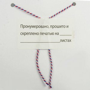 Этикетка самоклеящаяся "Пронумеровано, прошито и скреплено", 70х37 мм, 24 этикетки, 10 листов, 128833