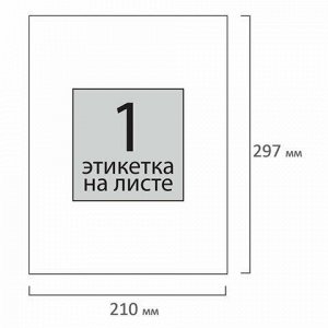 Этикетка самоклеящаяся 210х297 мм, 1 этикетка, 65 г/м2, 100 л., STAFF &quot;EVERYDAY&quot; (сырье Финляндия), 111832