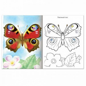 Книжка-раскраска А5, 8 л., HATBER, Первые уроки, "Бабочки", 8Рц5 10352, R006703