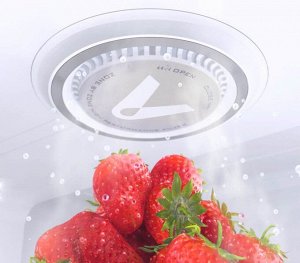 Поглотитель запаха для холодильника Xiaomi Viomi Deodorant Refrigerator VF1-CB