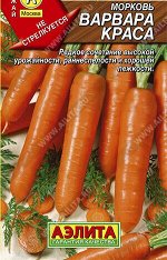 Варвара краса 8м А морковь