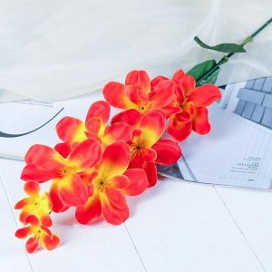 Цветы искусственные "Орхидея амезиелла" d-8 см 65 см, оранжевый