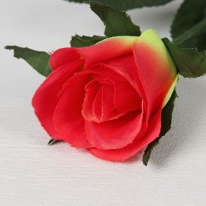 Цветы искусственные «Роза классик лайт», h=53 см, d=5 см, МИКС