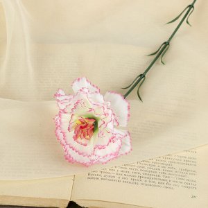 Цветы искусственные «Гвоздика» 45 см, белый