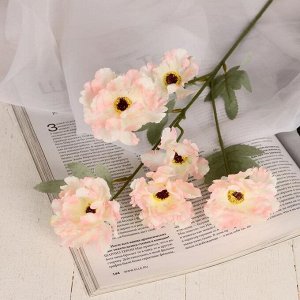 Цветы искусственные "Космея махровая" 8*58 см, белый с розовым