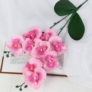 Цветы искусственные "Орхидея Фаленопсис мультифлора" 6х37 см, розовый микс