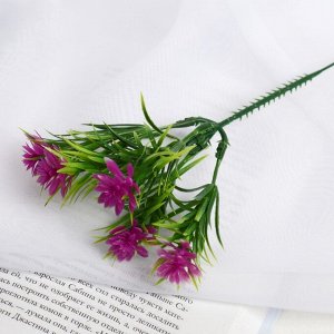 Букет искусственный «Эхеверия и листики», 18 см, МИКС