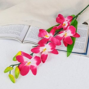 Цветы искусственные "Орхидея Гуарианте" 70 см, розовый