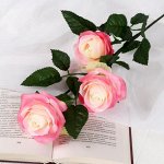 Цветы искусственные &quot;Роза Жанна&quot; 10х61 см, бело-розовый