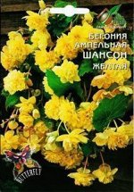 Бегония амп.Шансон желтая