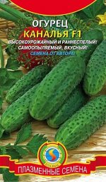 Каналья F1 10шт Плазма огурец