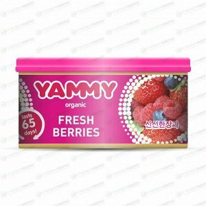 Ароматизатор на торпедо Yammy Fresh Berries (Свежие ягоды), с растительным наполнителем, баночка 42г, арт. D019