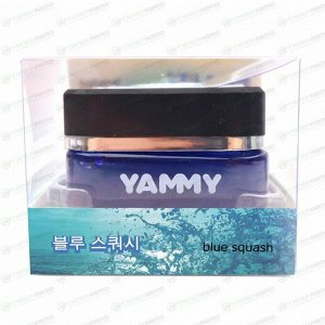 Ароматизатор на торпедо Yammy Blue Squash (Свежесть), гелевый, флакон, арт. G017