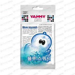 Ароматизатор подвесной Yammy Blue Squash (Свежесть), картон с пропиткой, арт. C021