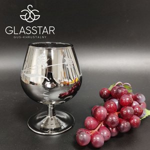 Набор бокалов Glasstar Изящная ветвь / 6 шт. 260 мл