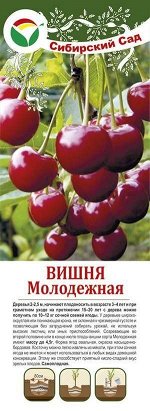 Вишня Молодежная (крупн/саж с этикеткой) 1шт (Сиб Сад)