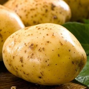 Лорх (с/э) среднепоздний 80 - 100 дней окраска клубня Светло-бежевая окраска мякоти Белая
Упаковка 3 кг. Цена за 3 кг