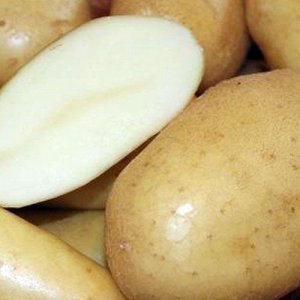 Крепыш (С/Э)