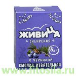Смолка &quot;Живица Сибирская&quot; в глазури без сахара с черникой, блистер № 5 х 0,8 г, т. м. &quot;Алтайский нектар&quot;