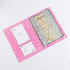 Папка для свидетельства о рождении с уголками «Мои первые документы», для девочки, под новый формат, А4, 32 х 22,3 см