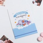 Папка для свидетельства о рождении «Слоник», для мальчика, под новый формат, А4