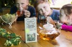 Чай зелёный СЛАДКИЙ с ЛИПОЙ, яблоком и стевией