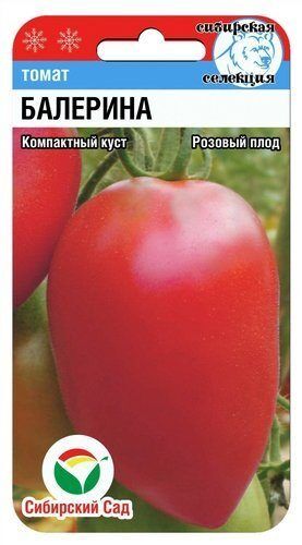 Томат Балерина Отзывы Фото Урожайность Характеристика
