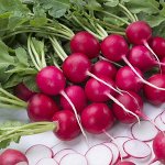 Семена сибирский сад — пробуем новинки