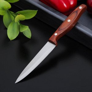 Нож Доляна «оплот», 11,5 см, цельнометаллический