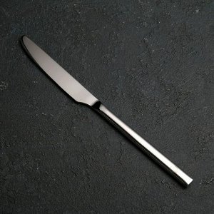 Нож столовый «Тайфун», 22,5 см