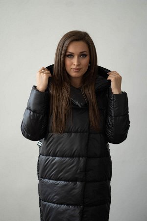 Куртка женская зимняя 22620  (черный)