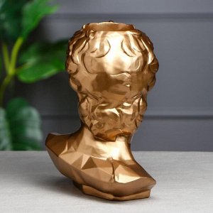 Органайзер-кашпо "Голова Давида", золотистый, 26 см