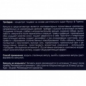 «УроЗдрав», профилактика проблем с мужской мочеполовой системой, 10 капсул по 500 мг