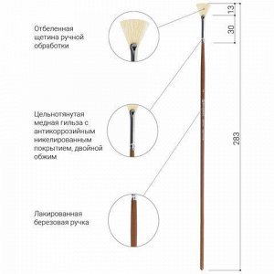 Кисть художественная профессиональная BRAUBERG ART CLASSIC, щетина, веерная, № 2, длинная ручка, 200742