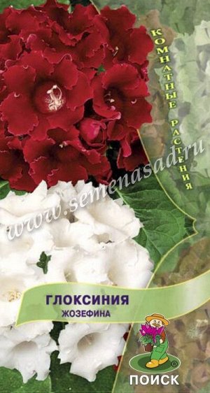 Глоксиния Жозефина (ЦВ) ("К) 5шт.