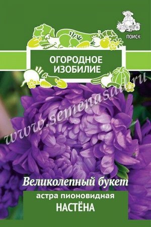 Астра (однолетняя) пионовидная Настёна (Огородное изобилие) ("1) 0,3гр