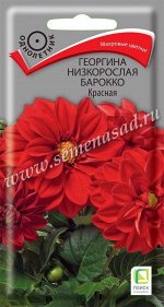 Георгина низкорослая Барокко Красная (ЦВ) (&quot;1) 0,1гр