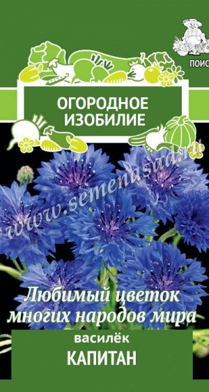 Василек Капитан (Огородное изобилие) ("1) 1гр