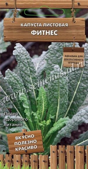 Капуста листовая Фитнес (сер. Декоративный огород ) (А) (ЦВ) 0,1 г