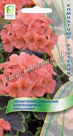 Пеларгония зональная Шоколадница &quot;Коралловая&quot;
