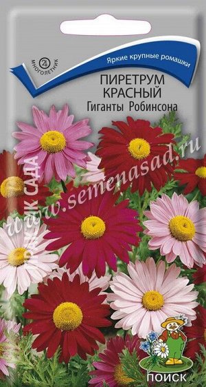 Пиретрум красный Гиганты Робинсона (ЦВ) ("М) 0,2гр.